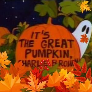 Meet your Posher, Coby